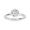 1 Carat Solitaire in White Gold