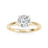 The Everlight Ring