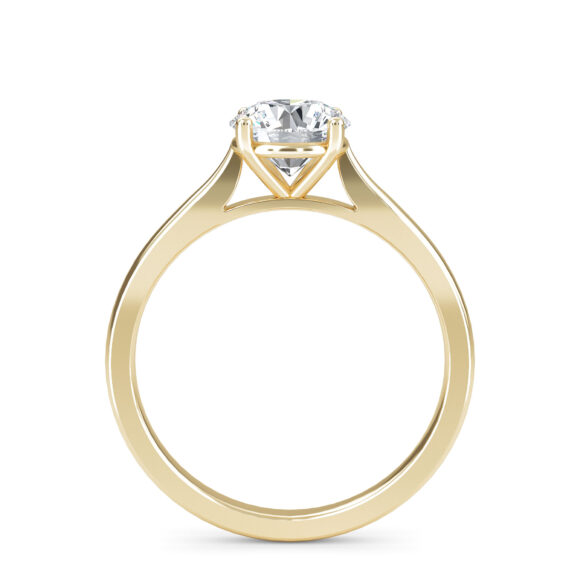 The Everlight Ring - Image 2